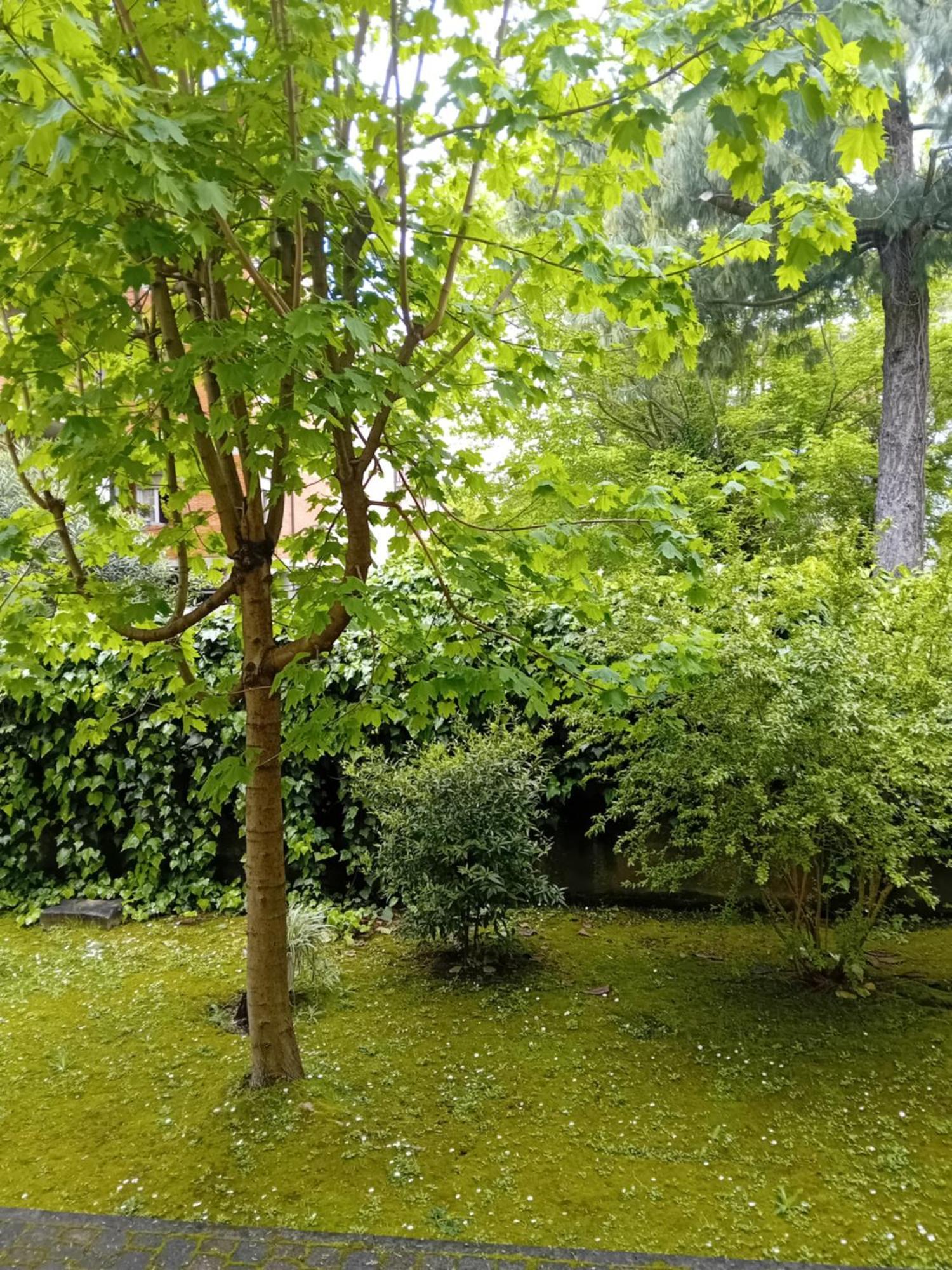 Apartment Vacanze Lida